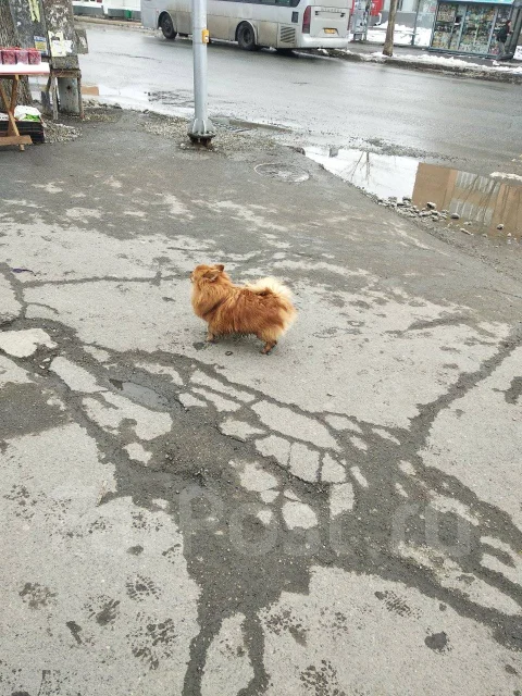 ����. ����