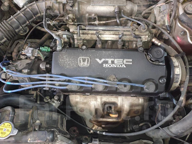 Honda Domani. MA4, ZC ����