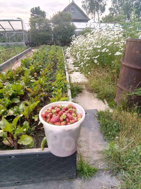 Дачи в комсомольске на амуре продажа с фото