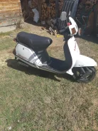 SYM Panda. 80����. ��., ��������, ��� ���, � �������� ����