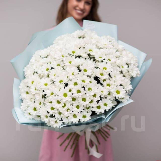 Ромашковая хризантема. Ромашки, новый, в наличии. Цена: 3 400₽ во ...