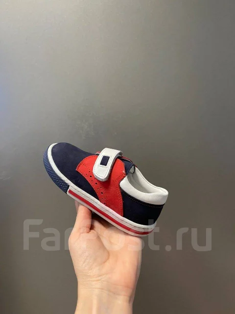 �����������. 24 ����