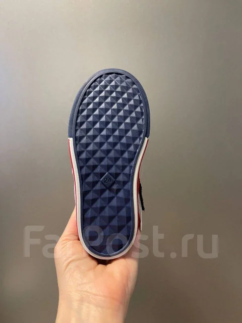 �����������. 24 ����