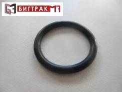 ������ �������������� Victor Reinz 407313600 ����