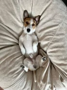 ����-������-������. ����