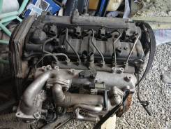 Kia Sorento. KNEJC524875658408, D4CB ����