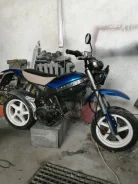 Suzuki Street Magic II. 49����. ��., ��������, ��� ���, � �������� ����