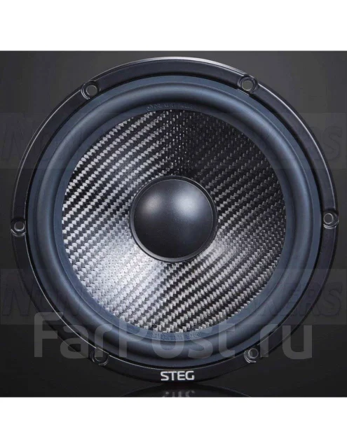 Steg ����