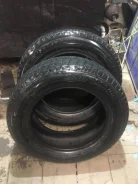Bridgestone Blizzak Revo1. ������, 2006 ���, �/�, ����� 40�% ����