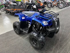 Motoland Rider 110. ��������, ��� ���\���, ��� ������� ����
