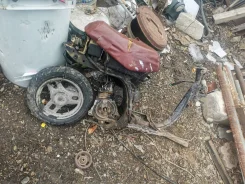 Honda Pal. 49����. ��., ����������, ������ �� �� ����