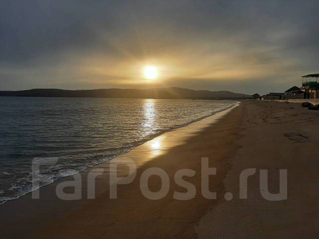 Волчанец фото приморский край