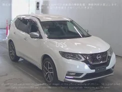 Nissan X-Trail. ��������, ��������, 2.0, ������, 16����. ��, �/�. ��� ����� �� ������������ ����