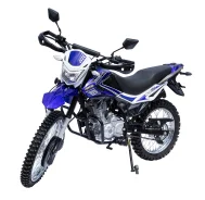 Regulmoto SK 200GY-5. 200����. ��., ��������, ���, ��� �������. ��� ����� �� ����������� ����