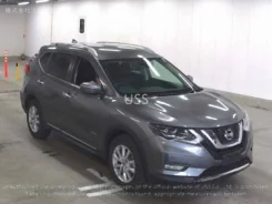 Nissan X-Trail. ��������, ��������, 2.0, ������, 26����. ��, �/�. ��� ����� �� ������������ ����