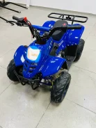 Avantis ATV Classic 6. ��������, ��� ���\���, ��� ������� ����