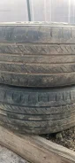Sprut ST 604. ������, �/�, ����� 40�% ����