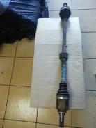 ������ �������� ������ ���� ����� ����