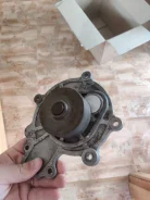 ����� 96440224 ����