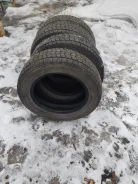NorthTrek. ������, ��� �����, 2014 ���, �/�, ����� 5�% ����