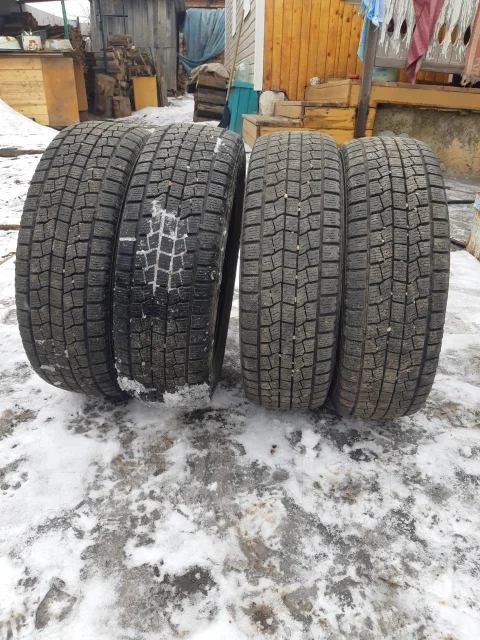 NorthTrek. ������, ��� �����, 2014 ���, �/�, ����� 5 % ����