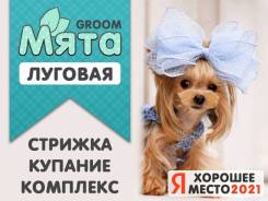 Услуги для животных