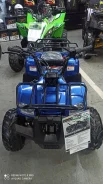 Motoland Rider 110. ��������, ��� ���\���, ��� ������� ����