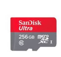 MicroSD. 256��� ����