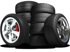 Accelera 651. �����������, �/�, ����� 100�%. ��� ����� �� ���������� ����