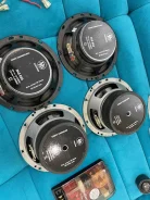 DLS ����