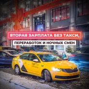 �������� �����. ��� ���������� ���� �����. ����� ��������� 41 ����