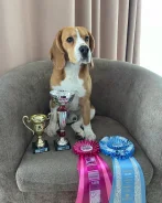 �����. ����
