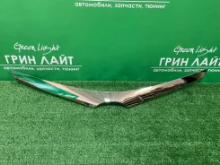 ������� ������� ��������� Axio / Fielder NZE161/164 ����� �������� 53121-12300 ����