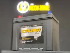 Caura. 80��.�., ������, ������������ ����� ����