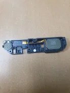 �������� ��������. ����