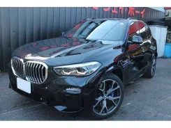 BMW X5. �������, 4wd, 3.0 (258��.�.), ������, 27����. ��, �/�. ��� ����� �� ������������ ����