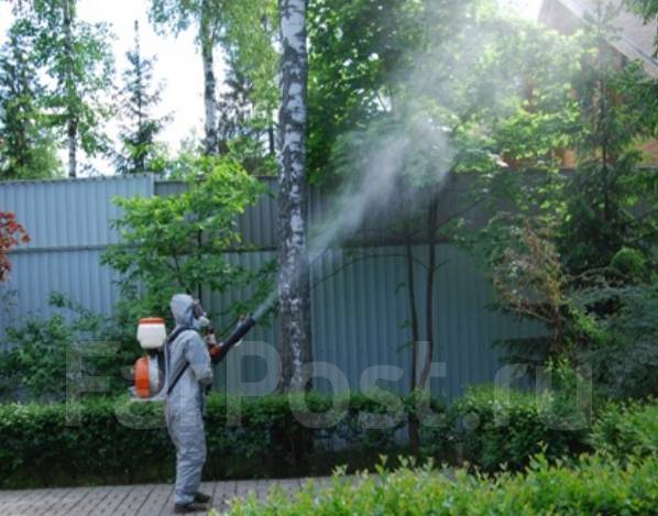 Дезинфекция Уничтожение Насекомых от Клопов Тараканов во Владивостоке