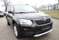 Skoda Yeti ����