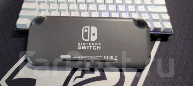 Nintendo Switch Lite ����