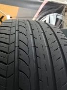 Blacklion BU66 Champoint. ������, �/�, ����� 20�% ����