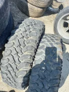 Forward Safari. ����� at, �/�, ����� 10 % ����