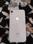 Apple iPhone Xr. �����, �����, 4G LTE ����
