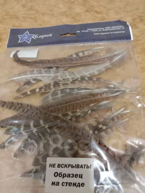 �����. ����