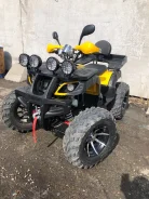 Tiger. ��������, ��� ���\���, ��� ������� ����