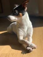 ������. ����