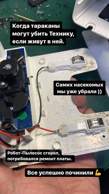 ������ ���������. ����