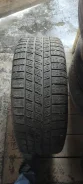 Pirelli Winter Ice Sport. ������, ��� �����, �/�, ����� 40 % ����