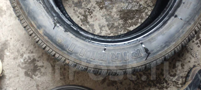 Pirelli Winter Ice Sport. ������, ��� �����, �/�, ����� 40 % ����