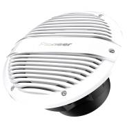 ������� �� 10" Pioneer TS-ME100WC ������� ����� ����