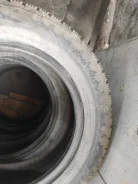 ���� �-151. �����������, 2019 ���, �/�, ����� 40 % ����